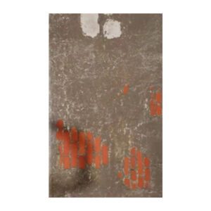 SFRPA17 - Old wall covering 1