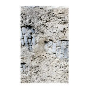 SFRPA18 - Old wall covering 2