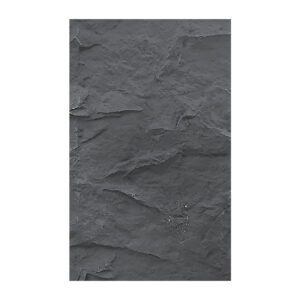 SFRPA25 - Shale rock