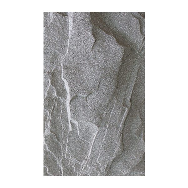SPUPA12 - Schist - Image 3