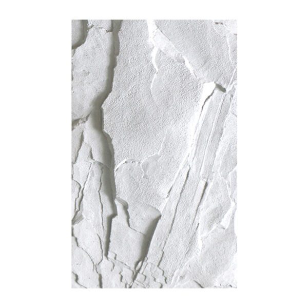 SPUPA12 - Schist - Image 2