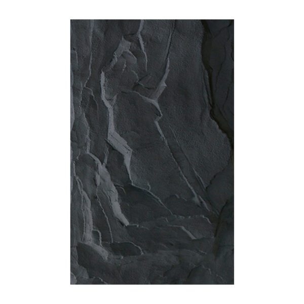 SPUPA12 - Schist - Image 4