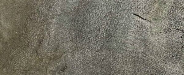 Quartzite - D. GREEN