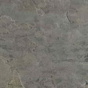 Slate - FOSSIL GOLD