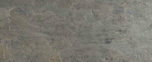 Slate - FOSSIL GOLD