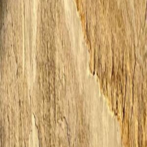 Slate - WOOD ROOT