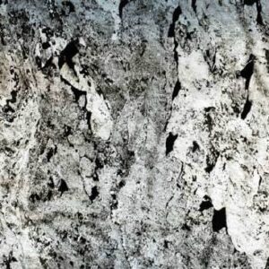 Translucent - BLACK