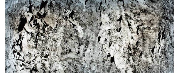 Translucent - BLACK